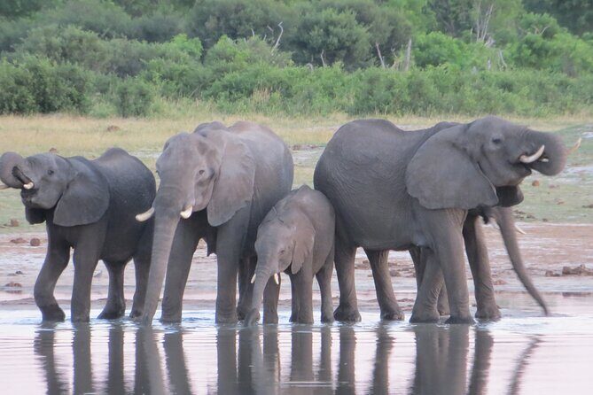 Things To Do in Victoria Falls - Quick Overview