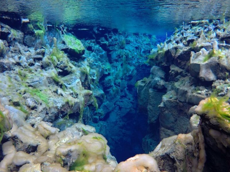 thingvellir-silfra-freedive-adevnture-with-a-guide