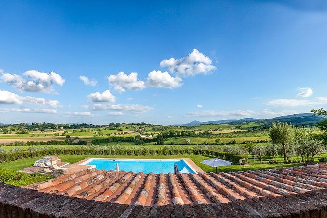 think-of-a-romantic-meal-in-the-olive-trees-shade-accompanied-by-tuscan-wines