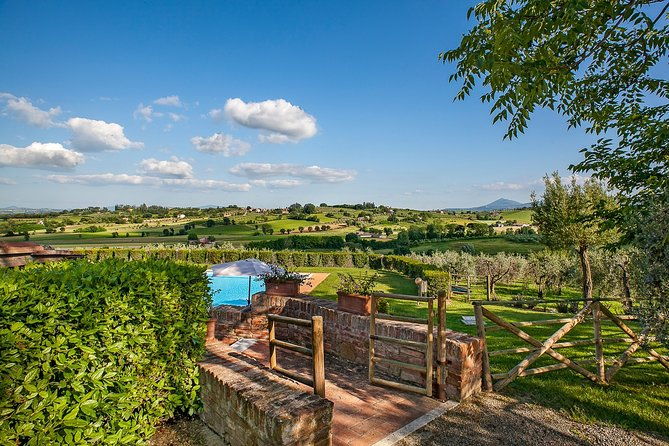 think-of-a-romantic-meal-in-the-olive-trees-shade-accompanied-by-tuscan-wines
