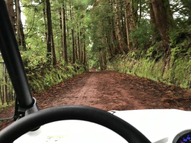 third-buggy-tour-4x4-west-side-azores-retreat