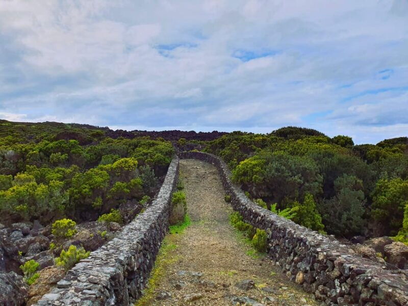 third-island-agualva-bay-hike-picnic-biscoitos