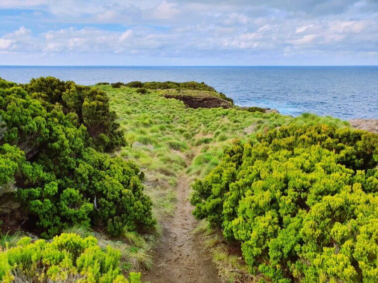 third-island-agualva-bay-hike-picnic-biscoitos