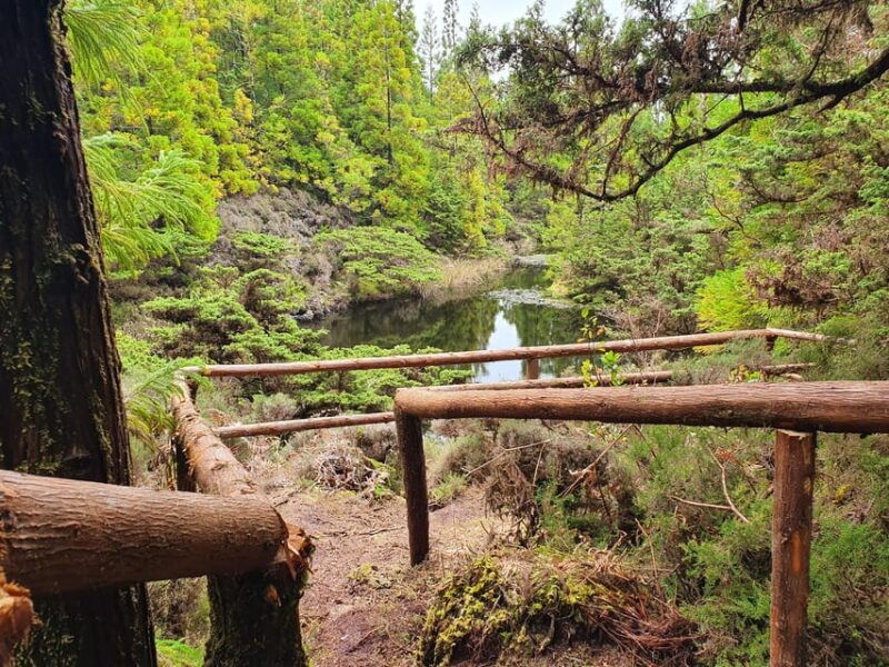 third-island-half-day-hiking-trail-black-mysteries