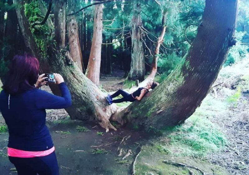 third-island-hiking-trail-rocha-do-chambre