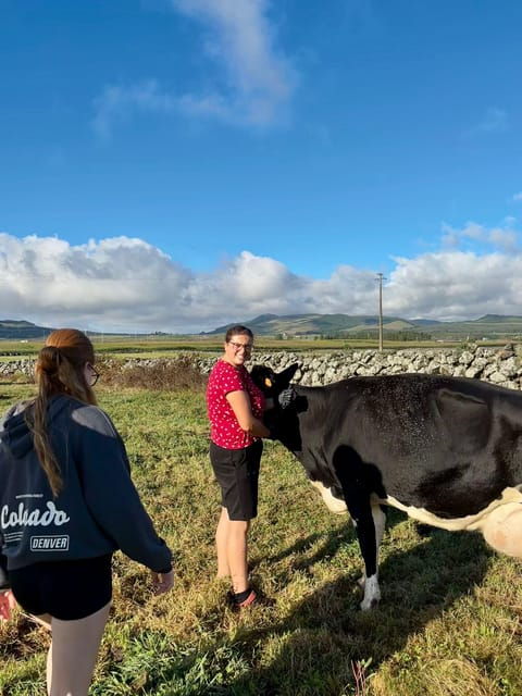third-island-milk-and-cheese-route-experience