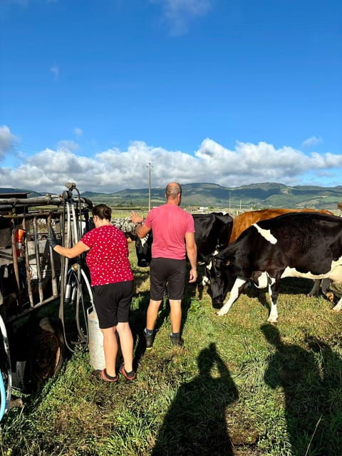 third-island-milk-and-cheese-route-experience