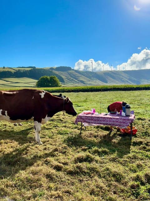 third-island-milk-and-cheese-route-experience