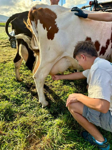 third-island-milk-and-cheese-route-experience