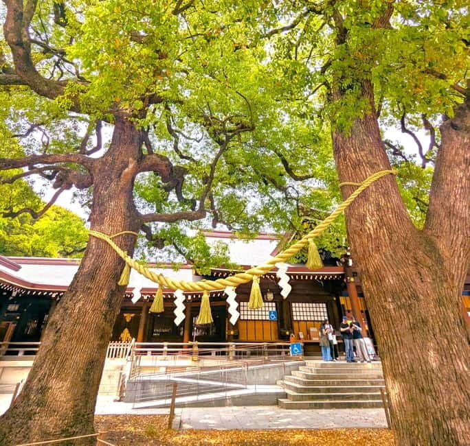 This is Real TOKYO!! SHIBUYA Tour from TGP!! - Considerations