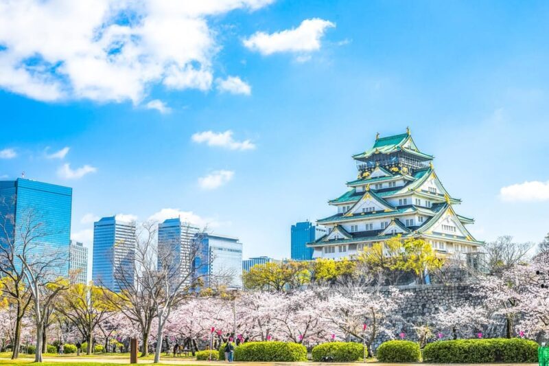 This is The Best Walking Tour, All Must-sees in Osaka! - Exploring Osaka: An In-Depth Look
