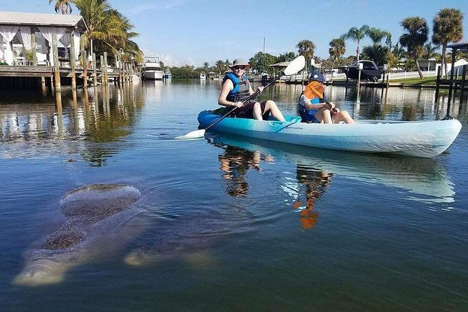 thousand-island-mangrove-tunnel-manatee-dolphin-kayak-tour-w-cocoa-kayaking