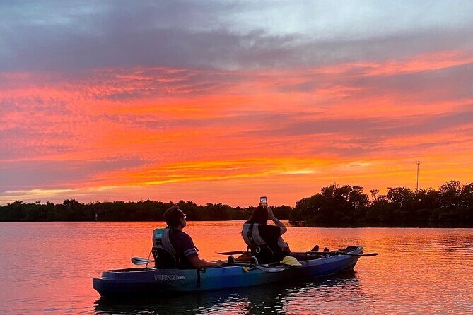 Thousand Islands Mangrove Tunnel & Bio Comb Jelly Sunset Tour - Discovering the Thousand Islands Mangrove Tunnel & Bio Comb Jelly Sunset Tour
