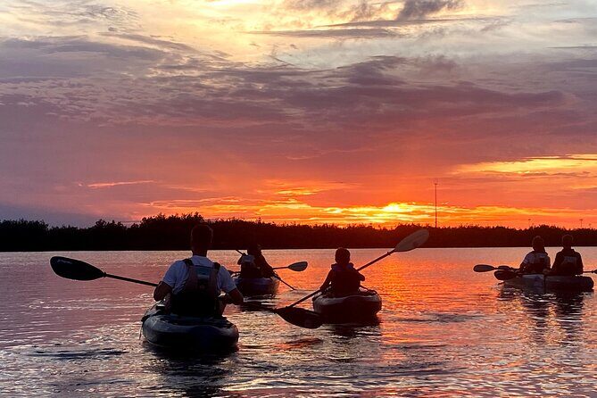 Thousand Islands Mangrove Tunnel & Bio Comb Jelly Sunset Tour - The Sum Up