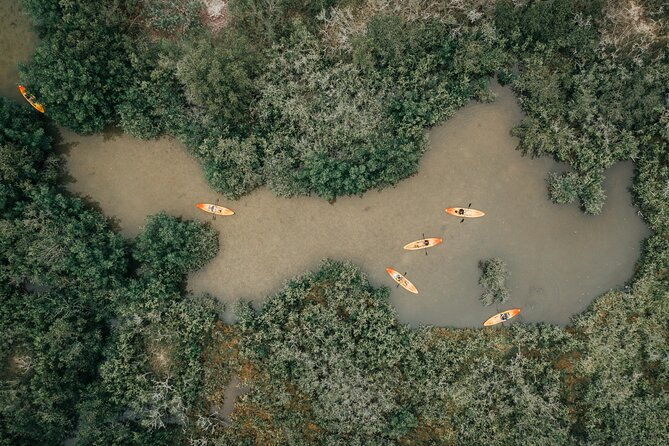 thousand-islands-mangrove-tunnel-kayak-tour-with-cocoa-kayaking-2
