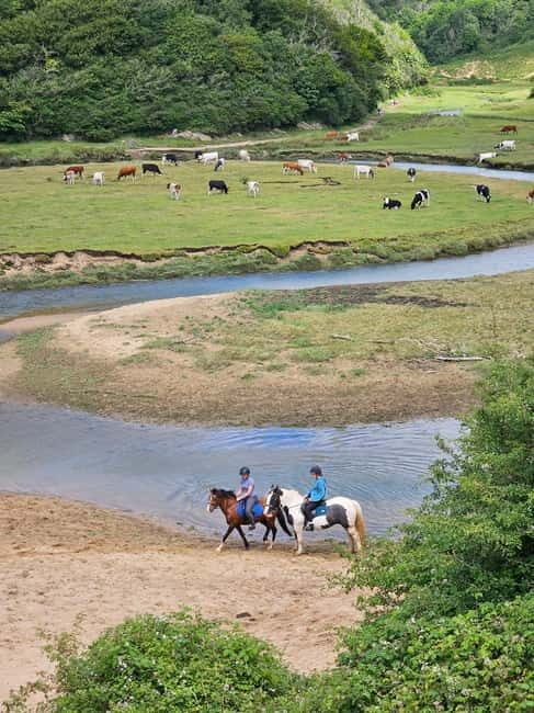 Three cliffs bay circular walk - Gower Peninsula - An Introduction to the Experience
