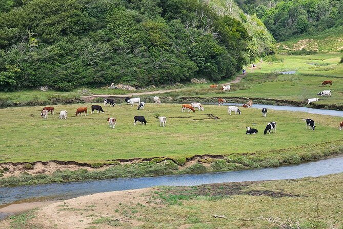 three-cliffs-bay-circular-walk-gower-peninsula