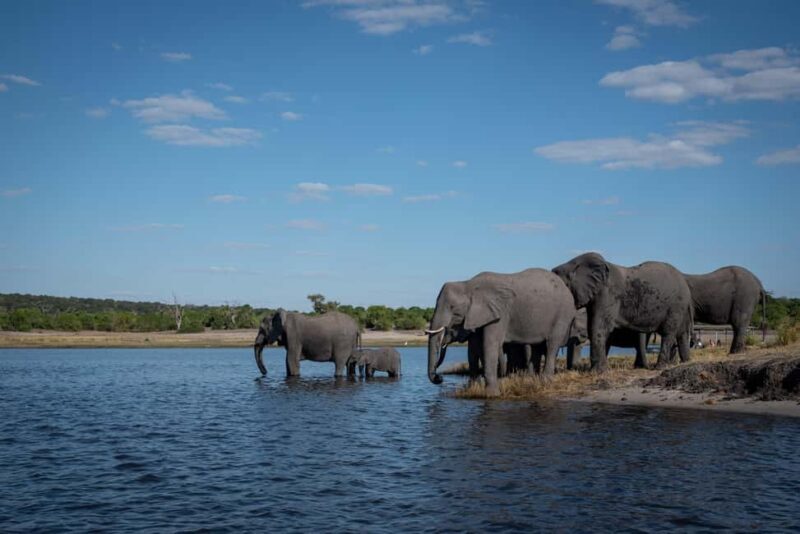 Three Day Camping Safari Chobe - What’s Included and What’s Not