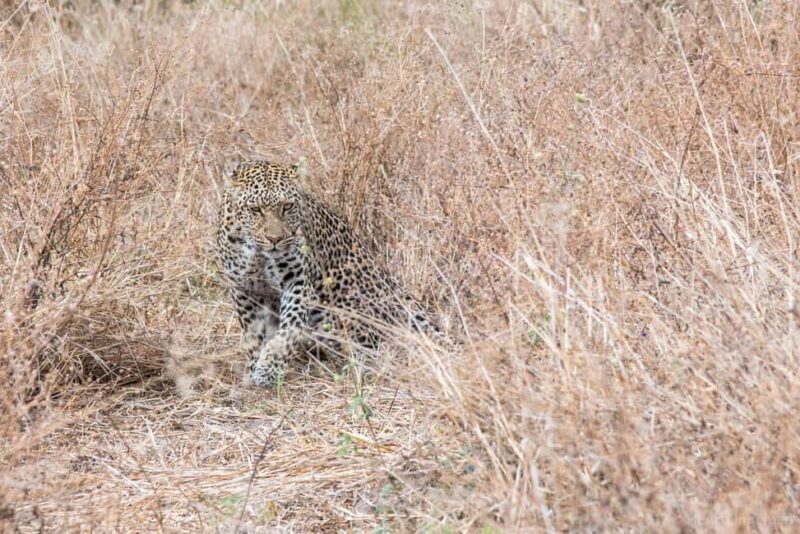 Three Day Camping Safari Chobe - Practical Tips for Your Safari