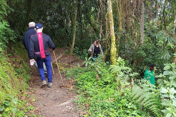 Three-day Nyungwe Canopy and Kivu Lake Adventure - What Travelers Say