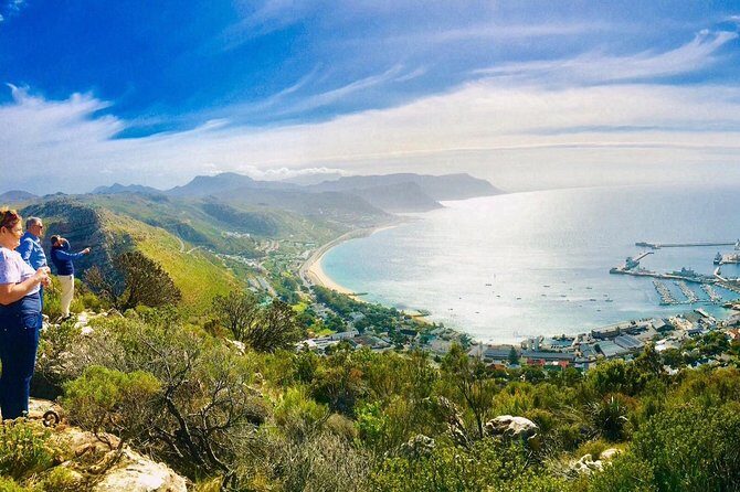 Three Day Private tour: Table Mountain, City, Cape Peninsula and Winelands - Final Thoughts