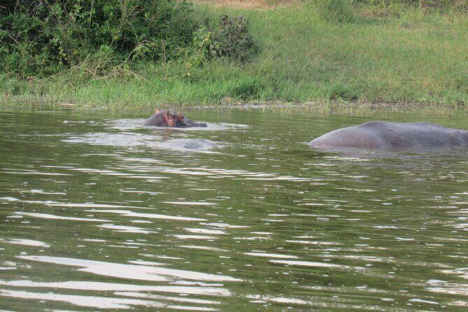 Three days escape to Queen Elizabeth National park - The Sum Up