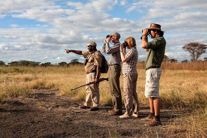 Three days Mikumi National Park, game drive and walking safari inside the park - Key Points