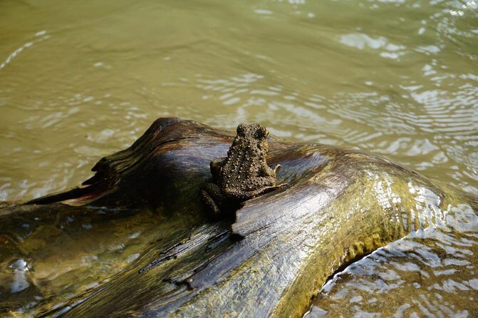 Three days orangutans adventure in Gunung Leuser - The Itinerary in Detail