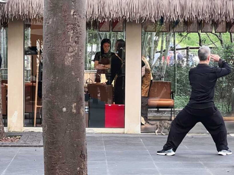 three-hour-shanghai-tour-tai-chi-and-yu-garden
