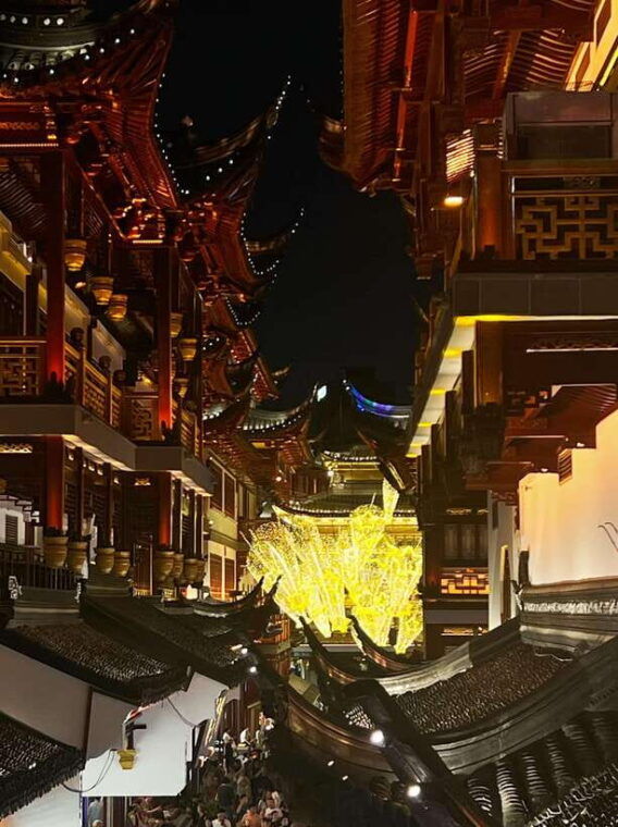 three-hour-shanghai-tour-tai-chi-and-yu-garden