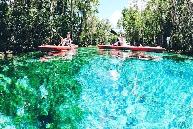 Three Sisters Springs Kayak And Swim Eco-Tour Crystal River - The Experience Breakdown