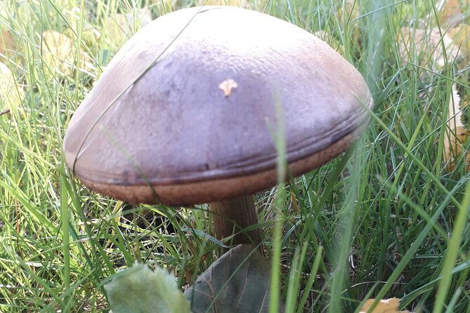 three-summit-hike-in-bergen