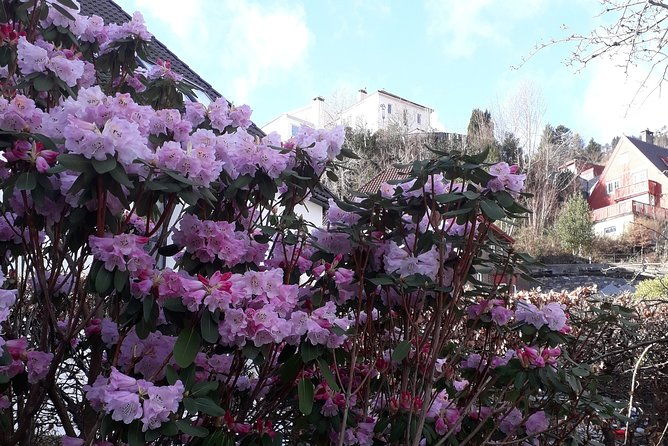 three-summit-hike-in-bergen