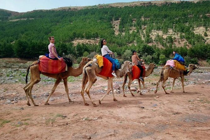 Three Valleys & Waterfalls & Atlas Mountains - Camel ride Day Trip Marrakech - Key Points