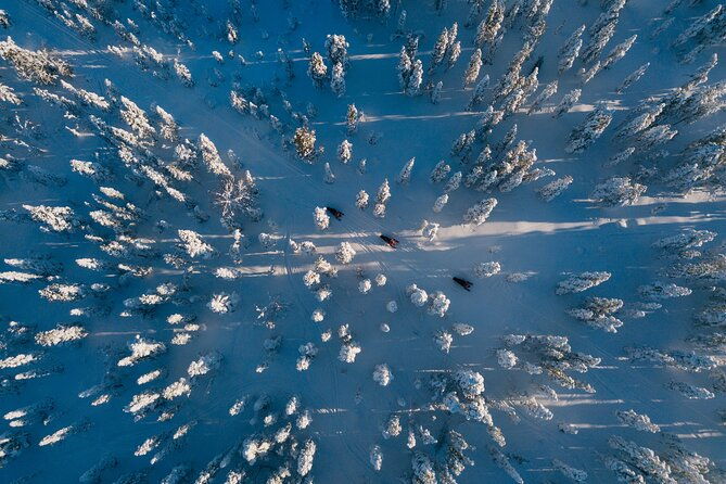 thrill-of-snowmobiling-for-adults-only