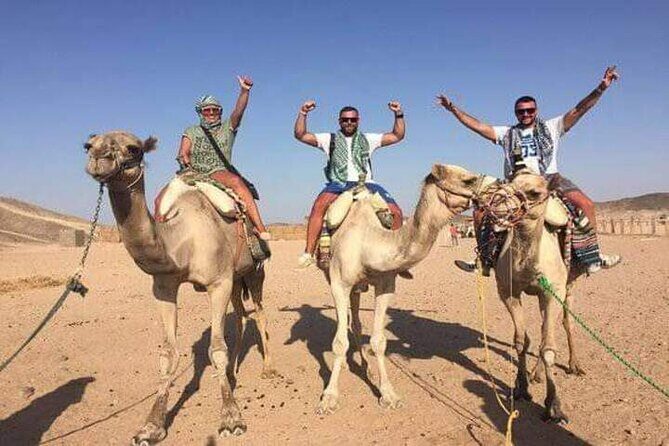 Thrilling 3 Hour Quad Riding, Bedouin Culture & Camel : Hurghada - An In-Depth Look at the Experience