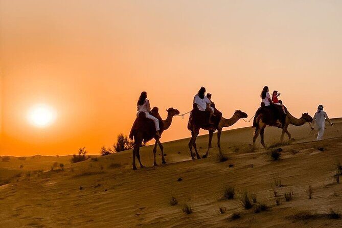 Thrilling 4-Hour Dune Bashing & Camel Ride Safari to Inland Sea - Why This Tour Stands Out