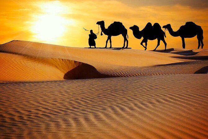 Thrilling dune bashing with VIP Desert camp delicious BBQ & shows - A Complete Look at the Dubai Desert Safari Experience