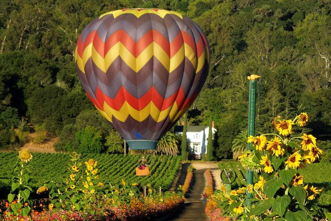 thrilling-napa-balloon-ride-no-change-after-5pm-the-day-prior-to-balloon-tour