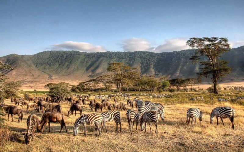 Thrilling three days combo safari, crater and migrations - What Makes This Safari Stand Out?