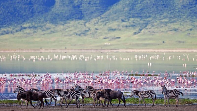 Thrilling three days combo safari, crater and migrations - FAQ