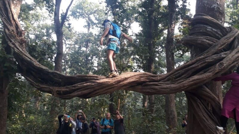 thrills-and-tranquility-jeep-safari-and-canoeing-in-chitwan