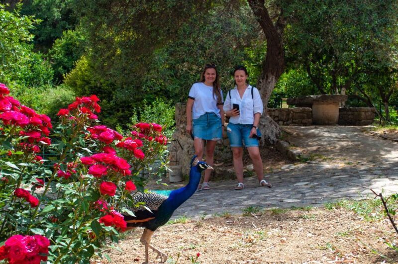 Through Heart of Crete to South & Wine Tasting Private tour - A Close Look at What You Can Expect from This Tour