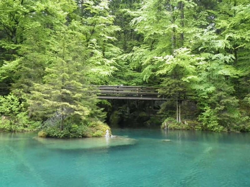 Thun: Blausee, Spiez Castle, & Lake Thun Private Guided Tour - Blausee Park: A Fairy Tale in Blue