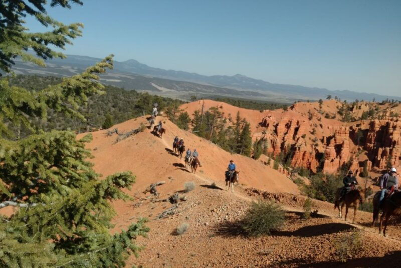 thunder-mountain-trail-scenic-horseback-ride
