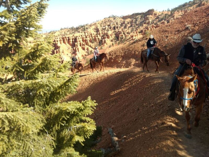 thunder-mountain-trail-scenic-horseback-ride
