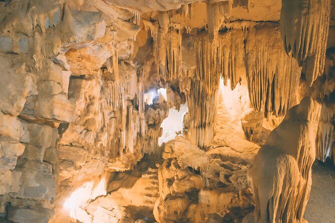 Thung Nham Bird Park, Bich Dong Pagoda, Legendary Caves Tour - The Day Unpacked: What to Expect at Each Stop