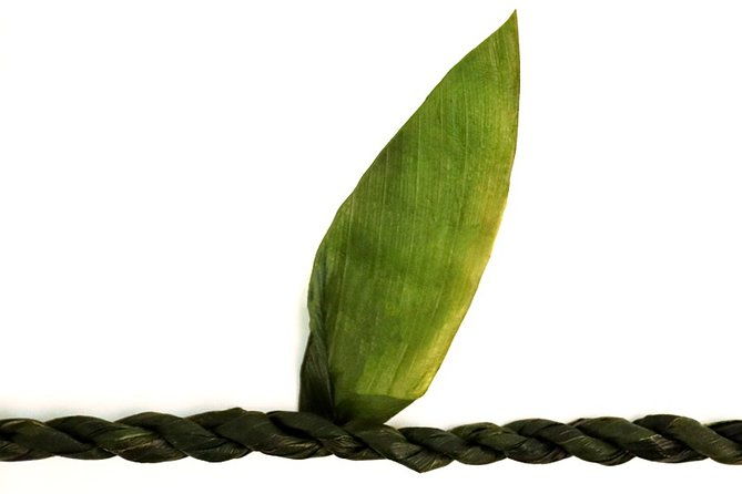 ti-leaf-airport-lei-greeting-maui-kahului-airport-ogg