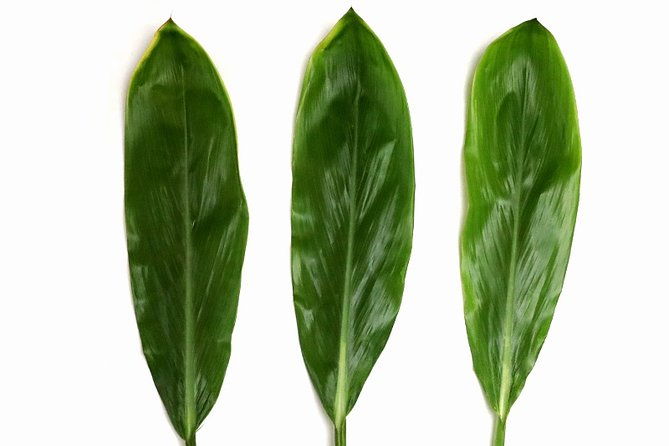 ti-leaf-airport-lei-greeting-maui-kahului-airport-ogg
