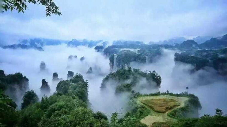 tianmen-mountain-national-forest-park